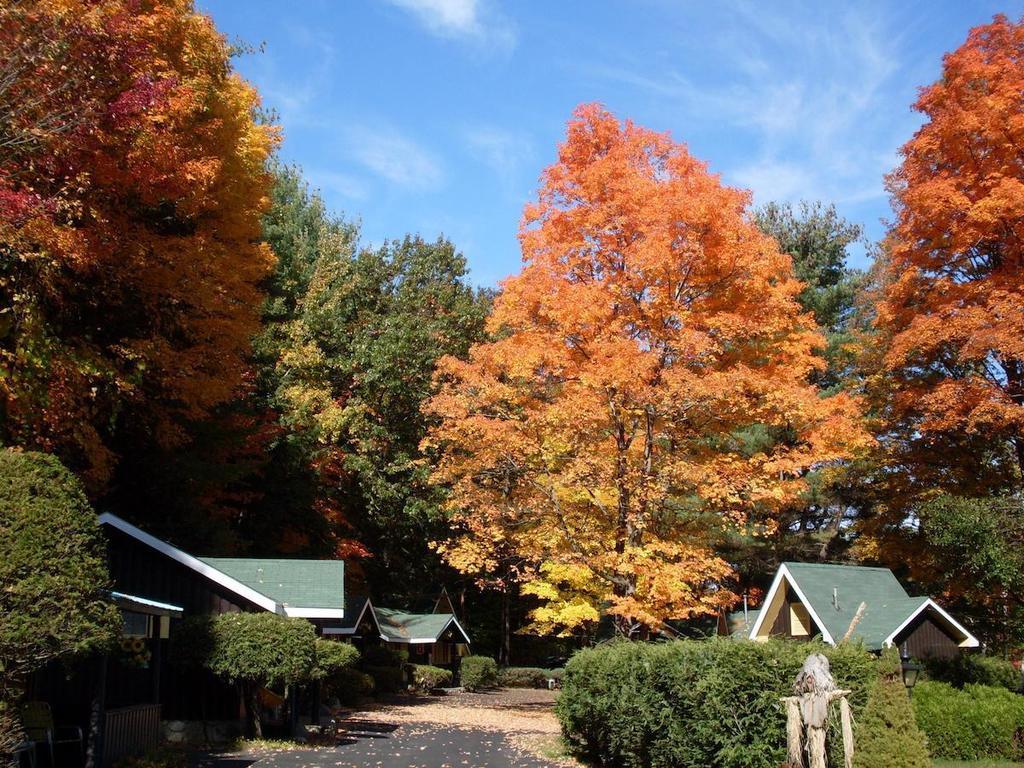 Amber Lantern Duplex Cottage Lake George Rum bild